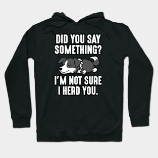 I Herd You Hoodie